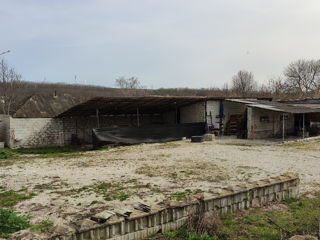 Se vinde fosta baza in orasul Glodeni. foto 3