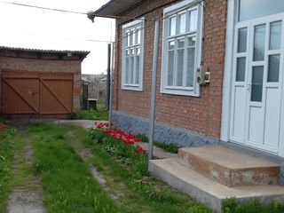 Vind urgent casa, satul Gribova !!! foto 2