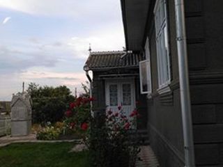 Vindem 2 case la colicauţi, raionul Briceni   продаются 2 дома в Коликауцах, Бричанский район. foto 4