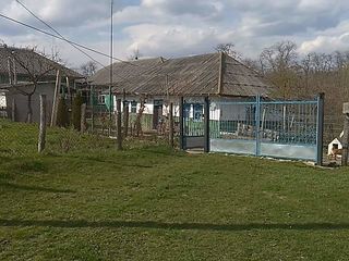 Продается дом в селе Маркауци Бричанского района по всем вопросам звонить по телефону foto 2