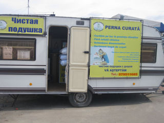 New!!! perna curată - servicii calitative de curăţare a pernelor ! чистая подушка – полное обеспы foto 2