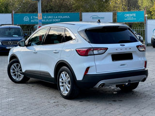 Ford Kuga foto 3