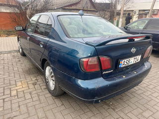 Nissan Primera foto 4