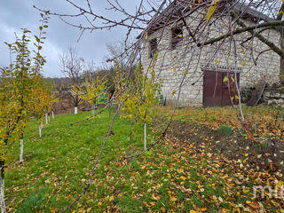 IP Ivancea, Orhei, Chișinău foto 10