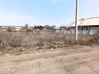 Oportunitate Unică în Tintareni, lot de constructie-12 Ari foto 2