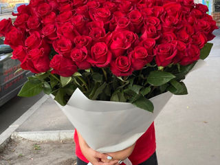 101 trandafiri de la 749 mdl livrare flori 101 роза от 749 лей доставка цветов flowers delivery foto 6