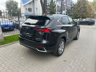 Lexus NX Series foto 5