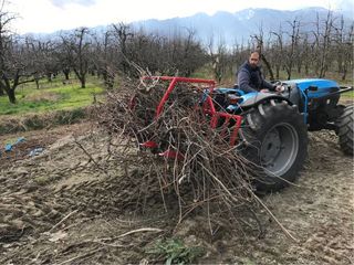 Se vinde utilaj pentru colectarea ramurile tăiate din  livezi, podgorii, plantații de măslini. foto 3