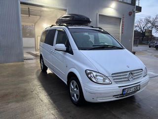 Mercedes Viano foto 6