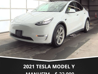 Tesla Model Y foto 3