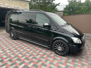 Mercedes Viano foto 2