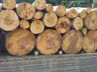 lemn Cireș la preț normal foto 3