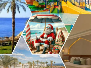 Vacanta in Egypt Sharm el Sheikh golfuri fara vint la Exotic Tur