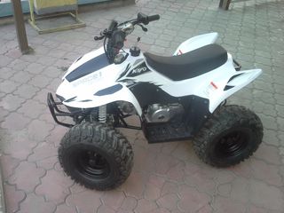 Kayo Moto ATV Kvadrocikle foto 9