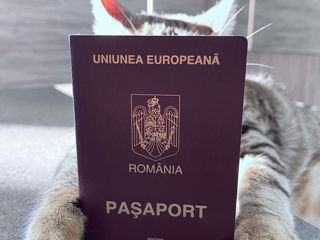 Pașaport românesc! foto 1