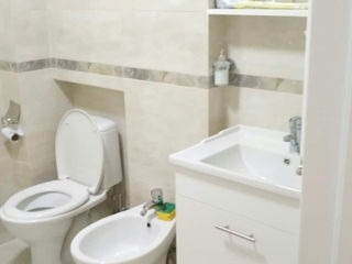 Apartament cu 1 cameră, 46 m², Botanica, Chișinău foto 10