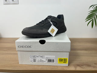 Geox Portello 43