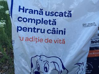 Hrana uscata pentru ciini,Polonia, Ungaria, Romania,Italia. foto 7