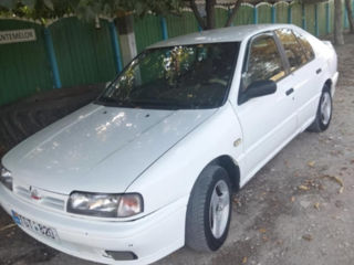 Nissan Primera foto 3