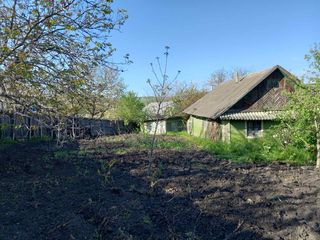 Casa batraneasca cu 12 ari de pamant la 20km de Chisinau foto 4