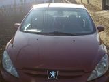 Peugeot 307 foto 1