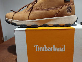 Timberland foto 5