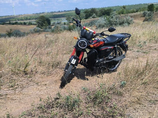 Viper Zs 125 foto 7