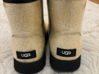 UGG оригинал foto 4