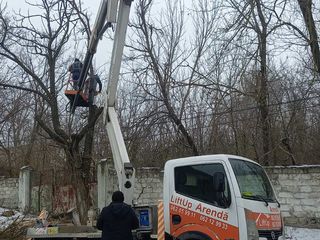 Tăiere copaci! La înălțime cu mașina Autoturn! În toată Moldova! foto 19