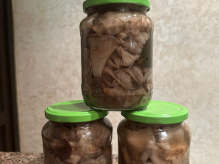 Ciuperci marinate  (грибы маринованные) foto 1