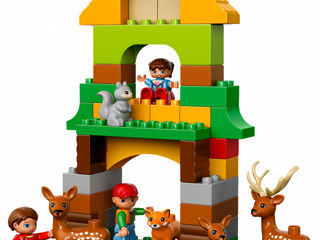 Lego Duplo  "Лесной Заповедник" foto 2