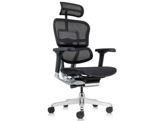 Scaun ergonomic Ergohuman Luxury 2 - este proiectat pentru a asigura confortul spatelui dvs.