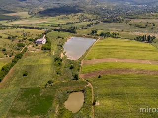 Afacere activă Iaz, Brutărie , Moara foto 7