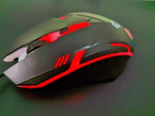 Mouse M179 foto 3