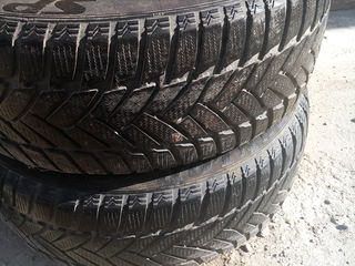 2 шт Dunlop Winter sport 205 55 R16 foto 1