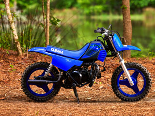 Yamaha Pw 50 foto 2