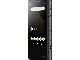 Sony Nw-zx507 + Sony Wf-1000xm4