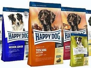 Happy Dog с бесплатной доставкой по Кишиневу!!! foto 1