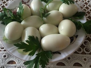 Ouă de prepelițe foto 2