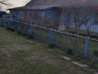 Дом в Одесской области, Украина foto 3