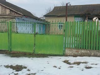 Продаются два дома. foto 5