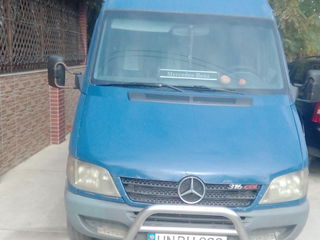 Mercedes (autobus) 316 cdi foto 2