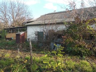 Se vinde casă în satul Volodeni . foto 8