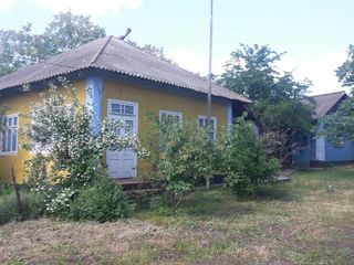 Vand casa de locuit cu 4 odai, in stare foarte buna.Ograda mare, sarai, beci, 30ari pamant. foto 3