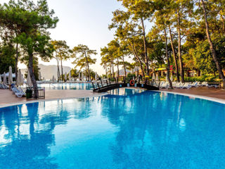 Turkey! Marmaris! Grand Yazici Club Turban 5*! Din 01.09! фото 8