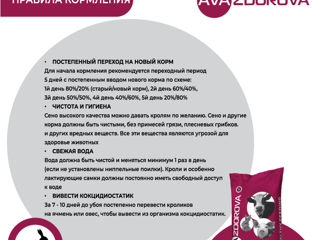 Premix pentru iepuri din ziua a 20-a si iepuri mama AVA Rabbit MIX 5% foto 5