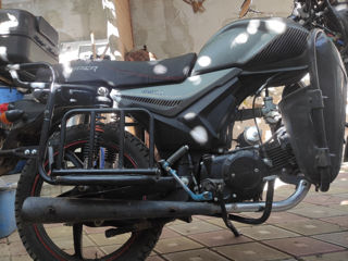 Viper Zs125F foto 3