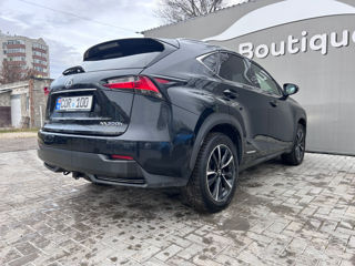 Lexus NX Series foto 6