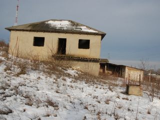 Casa de locuit in Cimislia Malina foto 1