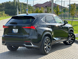 Lexus NX Series foto 5